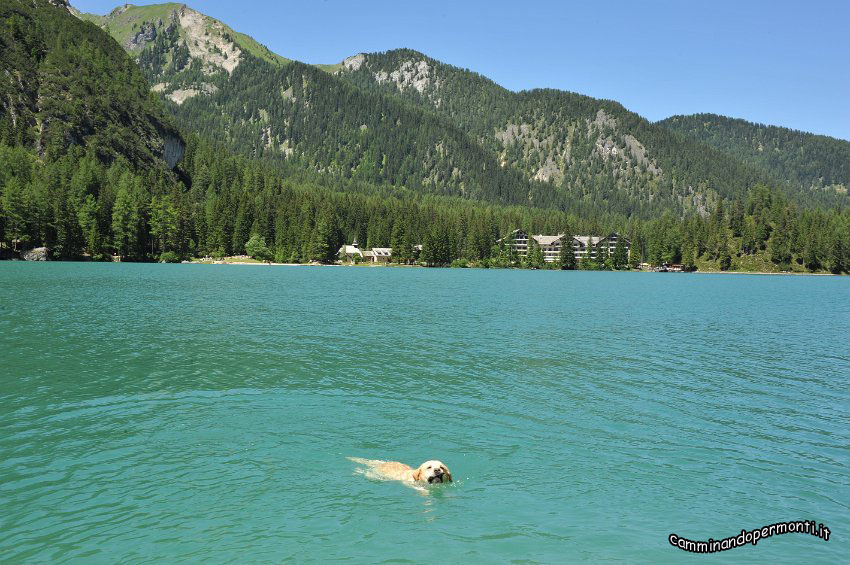 43 Lago di Braies.JPG